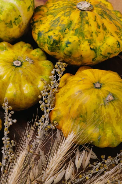 Színes Pattypan Squash Egy Csomó Gyógynövények Őszi Sárga Levelek Háttér — Stock Fotó