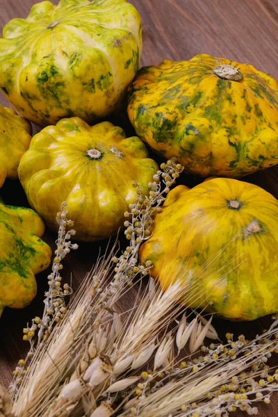 Färgglada Pattypan Squash Med Massor Örter Trä Bakgrund — Stockfoto