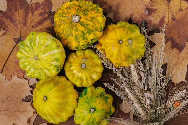 Färgglada Pattypan Squash Med Massor Örter Och Höst Gula Blad — Stockfoto