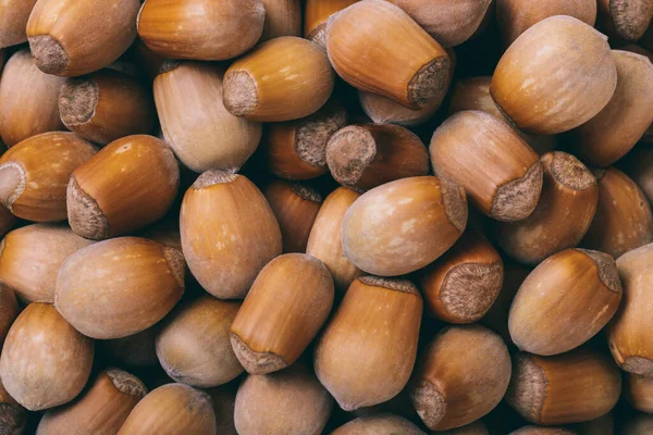 Haufen Nusse Haselnusse Corylus Avellana Makroaufnahme Nahaufnahme Draufsicht — Stockfoto