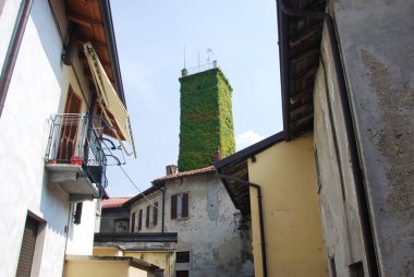 3 Eylül 2016 Garbagnate Monastero, Lecco, Lombardiya, İtalya, Ivy'de Kulesi kaplı.