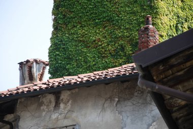 Garbagate Monastero, Lecco, 3 Eylül 2016: Eski Garbagnate Manastırı 'nda sarmaşıkla kaplı kule.