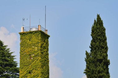 Garbagate Monastero, Lecco, 3 Eylül 2016: Eski Garbagnate Manastırı 'nda sarmaşıkla kaplı kule.