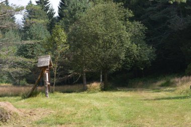 Malesco, Verbano Cusio Ossola, Piedmont / İtalya - 26 Ağustos 2016: Pian dei Sali doğal rezervi.