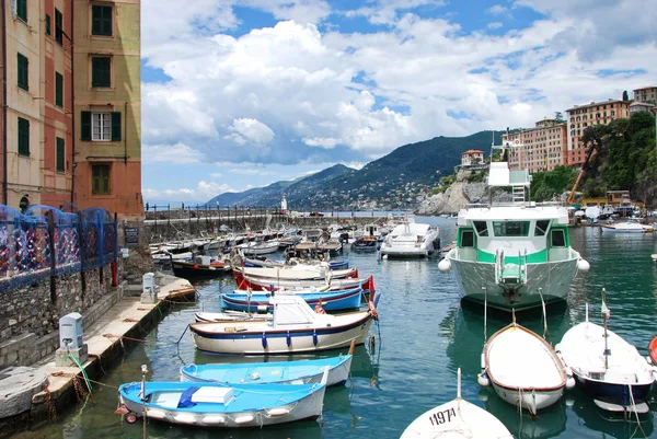 Port Camogli Gênes Ligurie Italie Juin 2018 — Photo