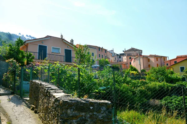 Framura, La Spezia, Liguria / İtalya - 12 Haziran 2014: Framura 'daki Setta köyü.