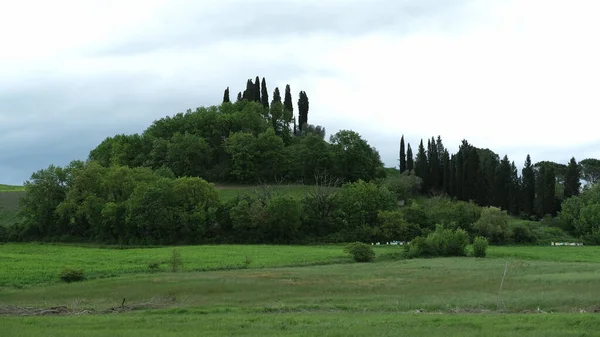 Castelnuovo Berardenga Siena Toszkána Olaszország 2019 Május Montaperti Csata Emlékműve — Stock Fotó