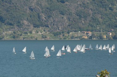 Pianello del Lario, Como, Lombardy / İtalya - 17 Eylül 2020: Como Gölü 'ndeki yelkenliler.