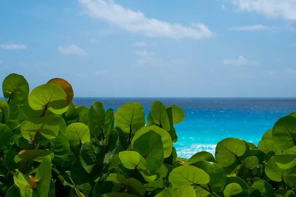 Cancun beach in a sunny day — Stock Photo, Image