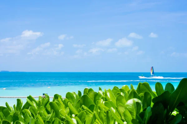 Pantai Cancun di hari yang cerah — Stok Foto