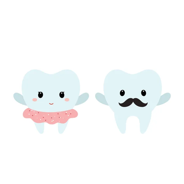 Male and female teeth. Vector. — Stock Vector