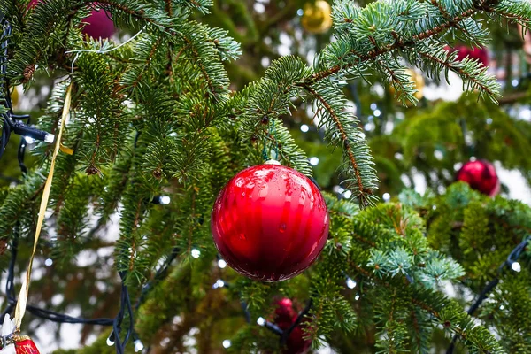 Nahaufnahme Auf Rotem Weihnachtsschmuck Globus Auf Weihnachtsbaum Freien Mit Regentropfen — Stockfoto