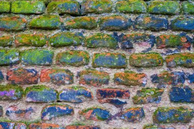 Textuder arka plan eski moss ve boya noktalar ile kaplı tuğla