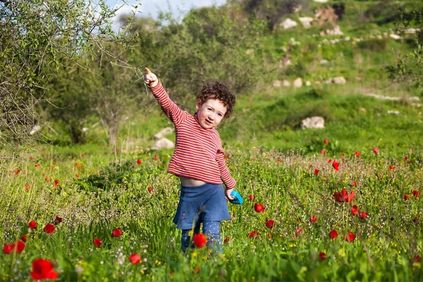 Cute Curly Girl Dance Blooming Meadow Red Anemones — Stock Photo, Image