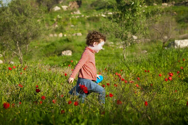 Cute Little Girl Running Blooming Anemone Spring Meadow Sunset — Stock Photo, Image