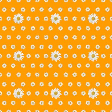 Çiçek hamamelis ayçiçeği gül desenli arka plan