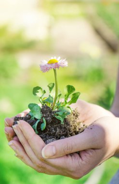 Elinde çiçek tutan genç bir kadın..