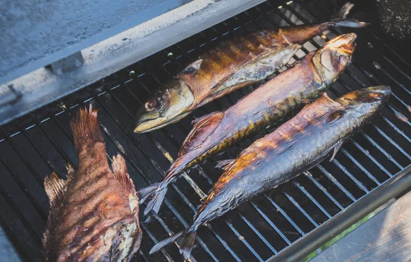 Копчена Риба Коптильні Три Сардини Морський Басист — стокове фото