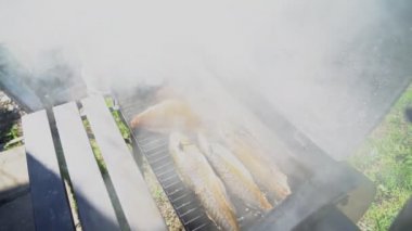 Smokehouse içinde pişirme balık. Üç sardalye ve levrek.