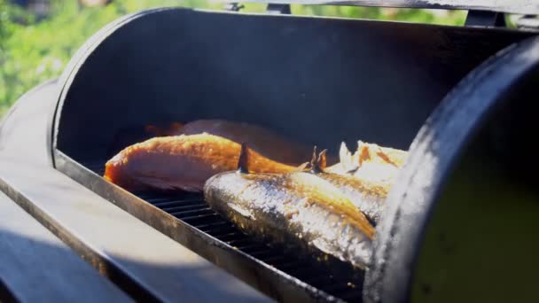 スモークハウスで料理の魚 つのイワシ シーバス — ストック動画