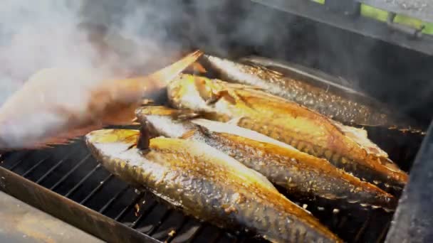 Fisk Matlagning Rökeri Tre Sardiner Och Havsabborre — Stockvideo