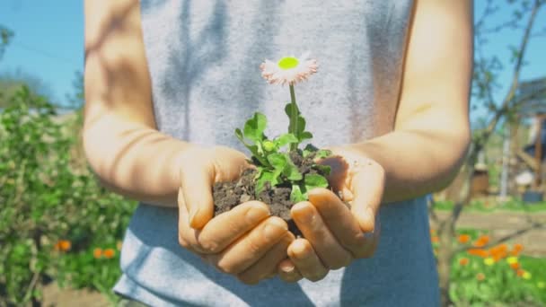 Young Woman Holding Flower Her Hands — Stock Video