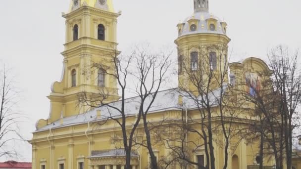 Kathedrale Der Heiligen Peter Und Paul Petersburg — Stockvideo