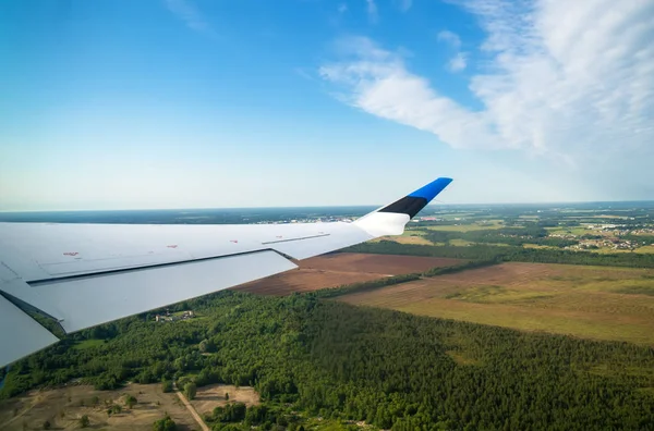 Aerial view of the plane wing with Estonian flag.
