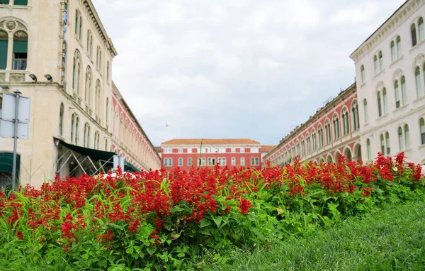 Flowers Front Republic Square Split Croatia — Stock Photo, Image