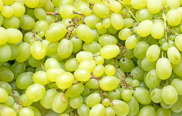 Montón Uvas Verdes Maduras Supermercado —  Fotos de Stock