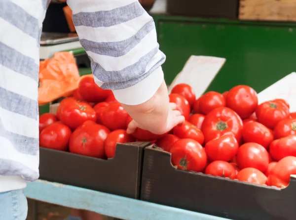 Woman choosing red tomatoes on the market.