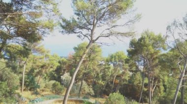 Split, Hırvatistan Marjan parkta görünümünü.