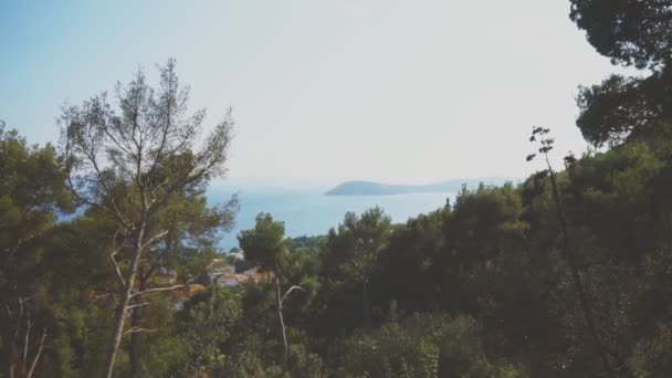 Vista Del Parque Marjan Split Croacia — Vídeos de Stock