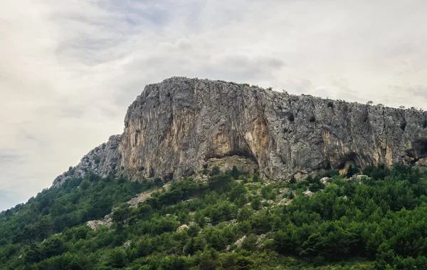 Rocky Mountains Kliffen Buurt Van Het Bosgebied — Stockfoto