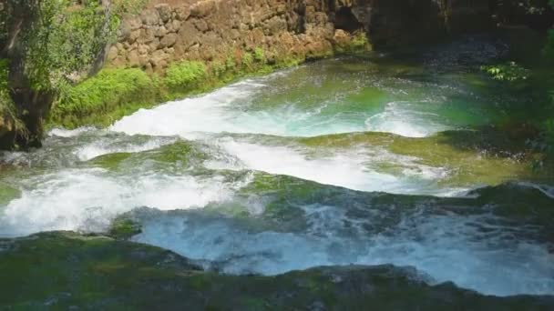 Rapids Üzerinde Nehre Krka Milli Parkı Hırvatistan — Stok video