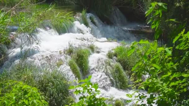 Stroomversnellingen Rivier Krka Nationaal Park Kroatië — Stockvideo