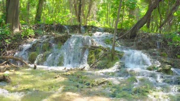 Stroomversnellingen Rivier Krka Nationaal Park Kroatië — Stockvideo