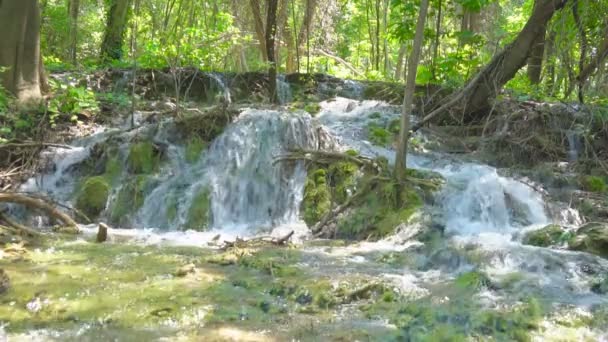 Stroomversnellingen Rivier Krka Nationaal Park Kroatië — Stockvideo