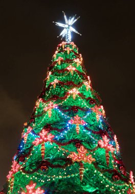 Noel ağacı, St. Petersburg geceleri.