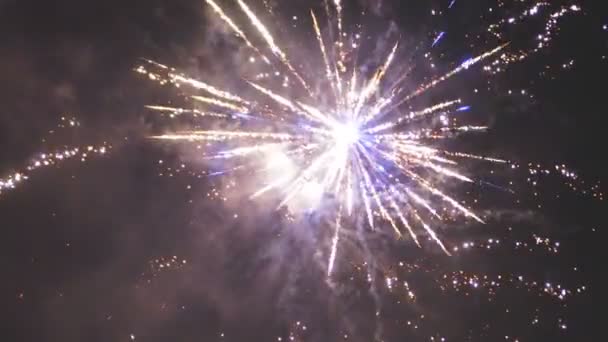 Vuurwerk Lucht Nieuwjaarsviering — Stockvideo