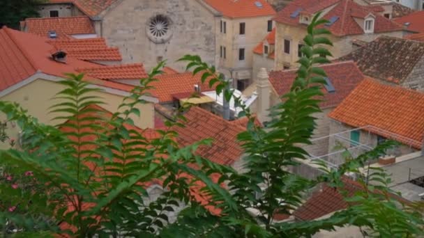 Mooie Zomerse Uitzicht Oude Stad Omis Kroatië — Stockvideo