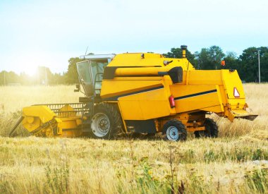 Sarı sanayi alanında çalışan hasat birleştirmek.