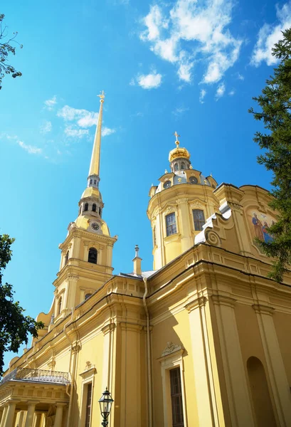 Cattedrale Dei Santi Pietro Paolo San Pietroburgo — Foto Stock