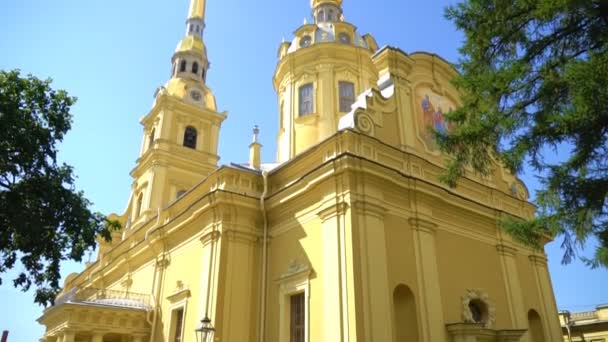 Szentek Péter Pál Székesegyház Saint Petersburg — Stock videók