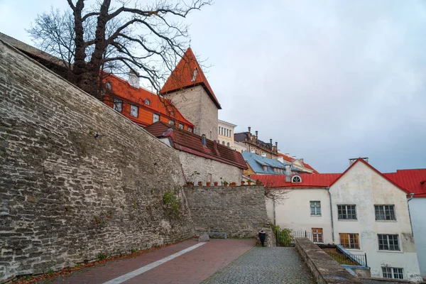 View Old City Wall Estonia Tallinn — Stock Photo, Image