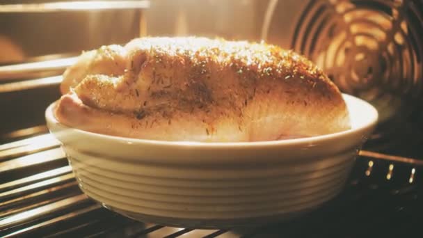 Duck Roasting Oven Time Lapse — Stock Video