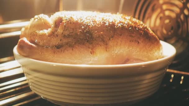 Duck Roasting Oven Time Lapse — Stock Video
