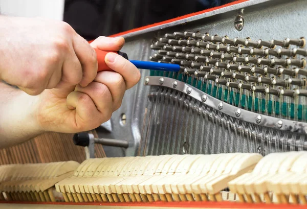 Maître Professionnel Accordant Piano Avec Outil Cliquet — Photo