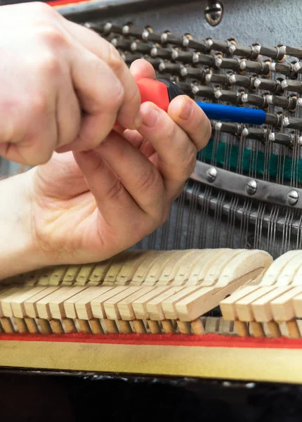 Maestro Profesional Afinando Piano Con Herramienta Trinquete — Foto de Stock