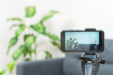 Telefon kamera tripod odasında üzerinde. Vlogging kavramı.